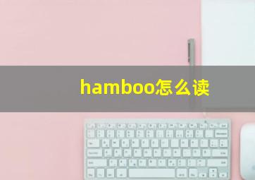 hamboo怎么读