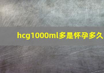 hcg1000ml多是怀孕多久