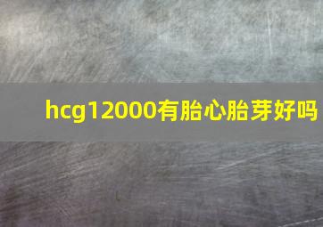 hcg12000有胎心胎芽好吗