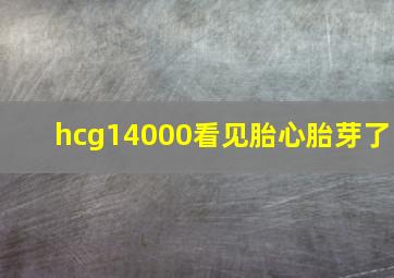 hcg14000看见胎心胎芽了