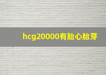 hcg20000有胎心胎芽