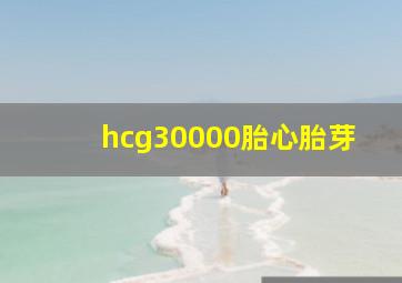 hcg30000胎心胎芽