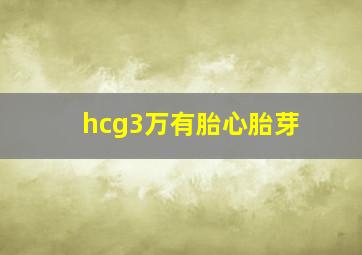 hcg3万有胎心胎芽