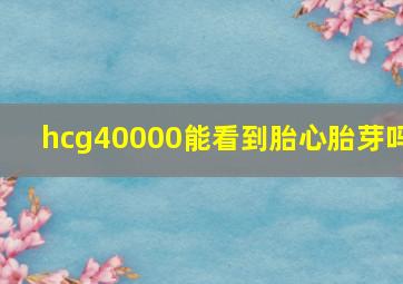 hcg40000能看到胎心胎芽吗