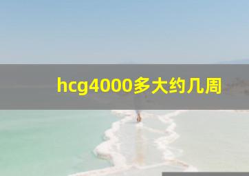 hcg4000多大约几周