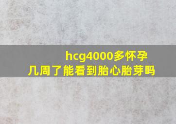 hcg4000多怀孕几周了能看到胎心胎芽吗