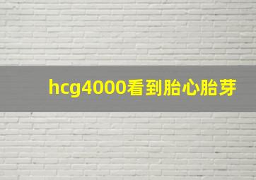 hcg4000看到胎心胎芽