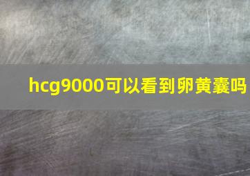 hcg9000可以看到卵黄囊吗