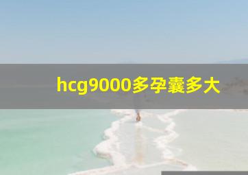 hcg9000多孕囊多大