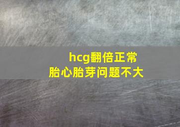 hcg翻倍正常胎心胎芽问题不大