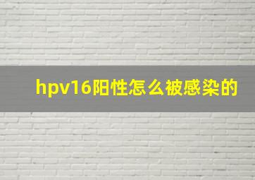 hpv16阳性怎么被感染的