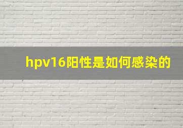 hpv16阳性是如何感染的