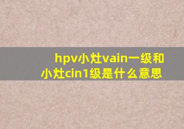 hpv小灶vain一级和小灶cin1级是什么意思