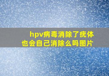 hpv病毒消除了疣体也会自己消除么吗图片