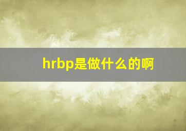 hrbp是做什么的啊