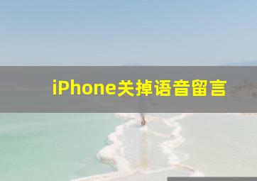 iPhone关掉语音留言