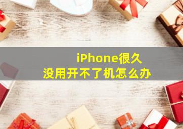 iPhone很久没用开不了机怎么办