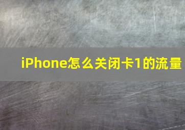 iPhone怎么关闭卡1的流量