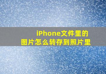 iPhone文件里的图片怎么转存到照片里