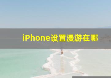 iPhone设置漫游在哪