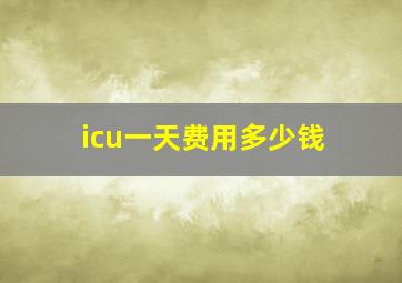 icu一天费用多少钱