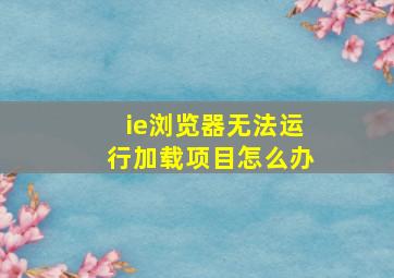 ie浏览器无法运行加载项目怎么办