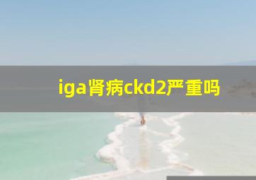 iga肾病ckd2严重吗