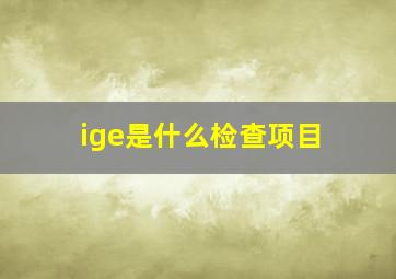 ige是什么检查项目