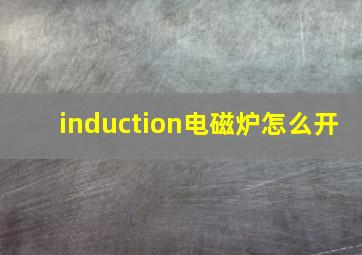 induction电磁炉怎么开