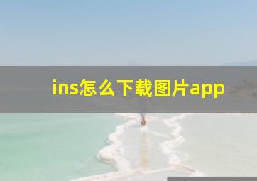 ins怎么下载图片app