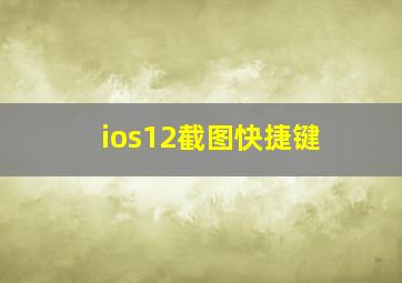 ios12截图快捷键