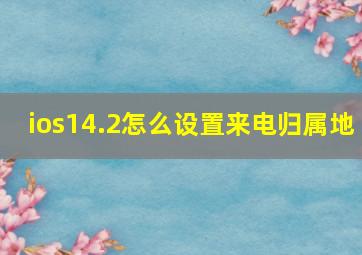 ios14.2怎么设置来电归属地