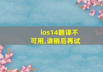 ios14翻译不可用,请稍后再试