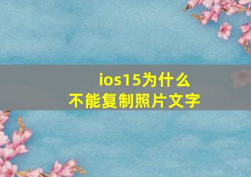 ios15为什么不能复制照片文字