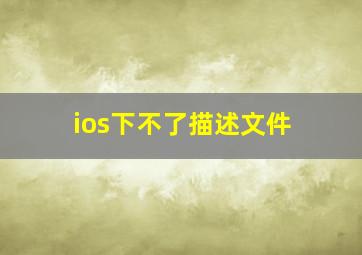 ios下不了描述文件