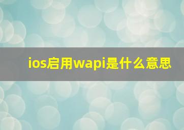 ios启用wapi是什么意思