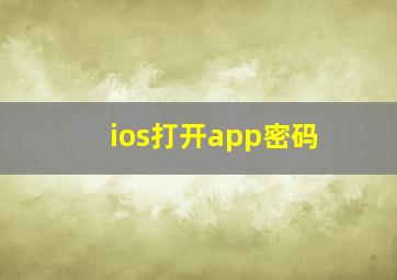 ios打开app密码