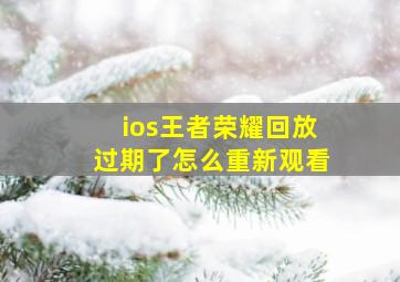 ios王者荣耀回放过期了怎么重新观看