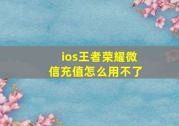 ios王者荣耀微信充值怎么用不了