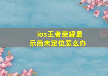 ios王者荣耀显示尚未定位怎么办