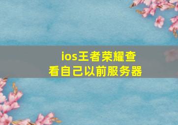 ios王者荣耀查看自己以前服务器