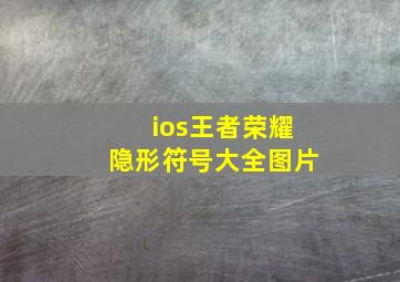 ios王者荣耀隐形符号大全图片