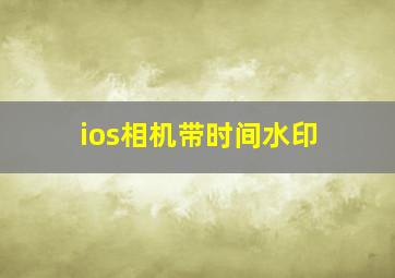 ios相机带时间水印