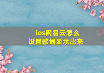 ios网易云怎么设置歌词显示出来