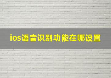 ios语音识别功能在哪设置