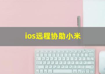 ios远程协助小米