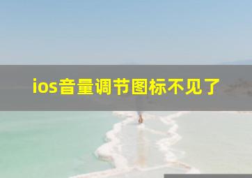 ios音量调节图标不见了