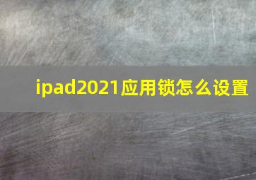 ipad2021应用锁怎么设置