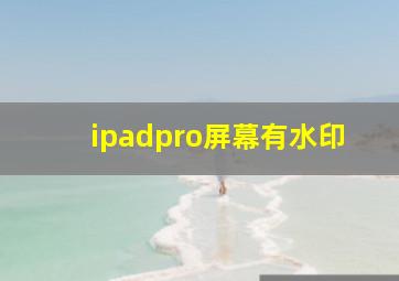 ipadpro屏幕有水印