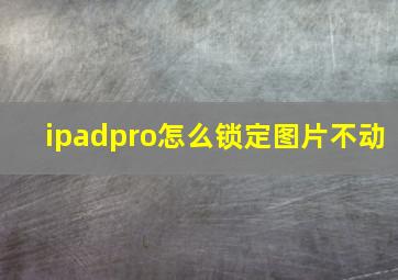 ipadpro怎么锁定图片不动